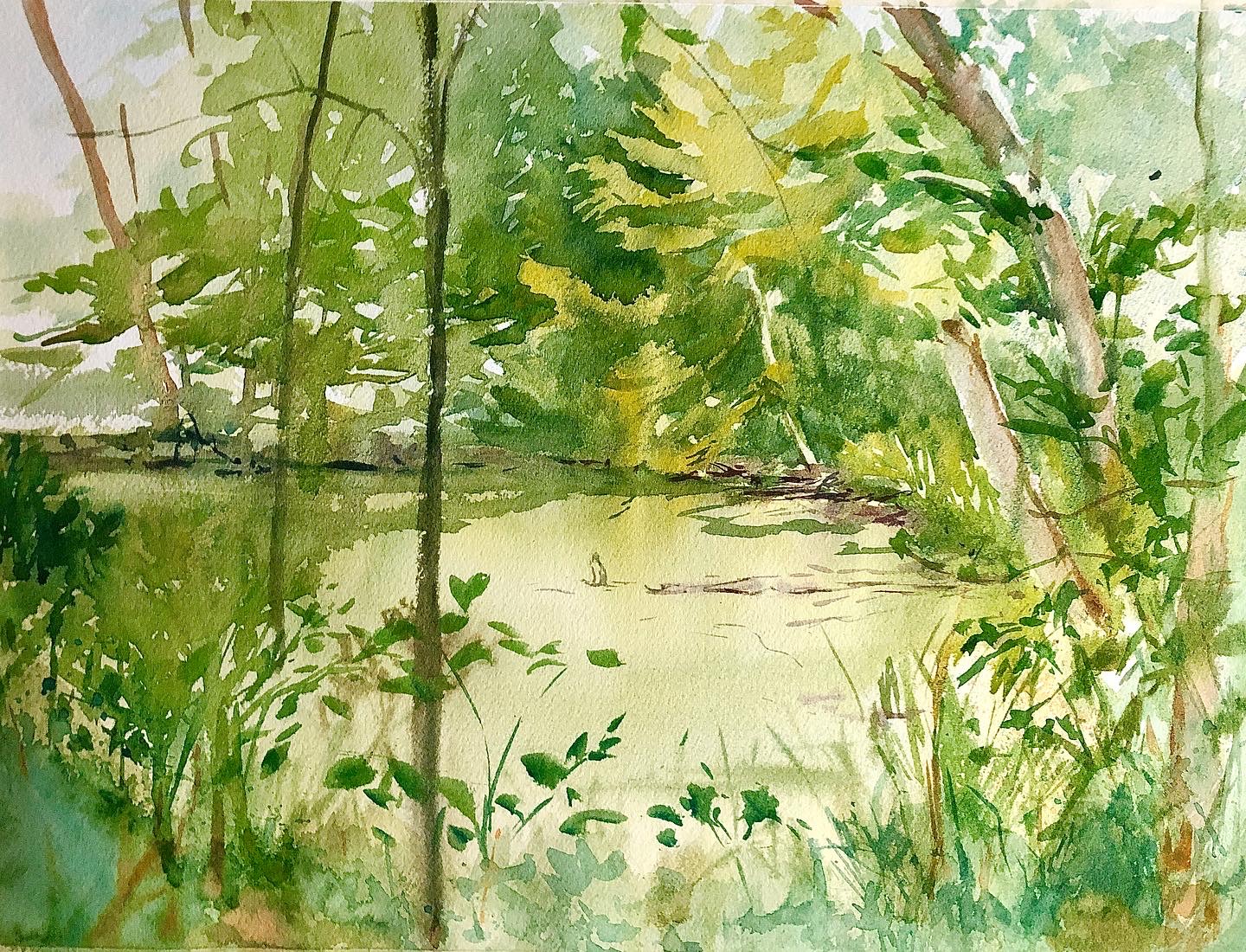 Upper Sangamon River  Allerton
Watercolor
15" X 11"
$250.