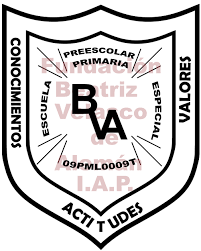 FUNDACION BEATRIZ VELASCO DE ALEMAN I.A.P.