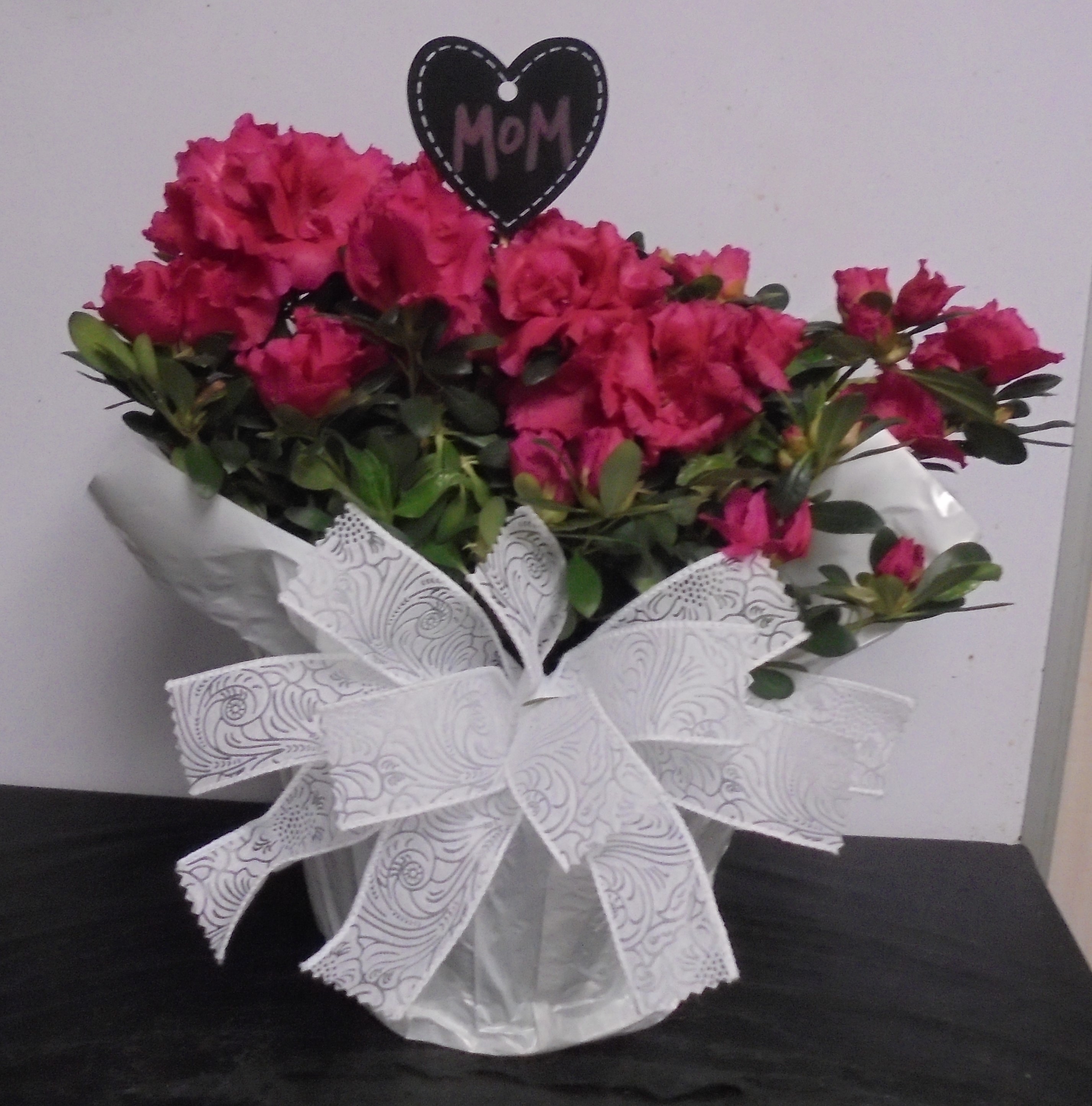 (33B)  "Pink" Azalea Plant
$60.00