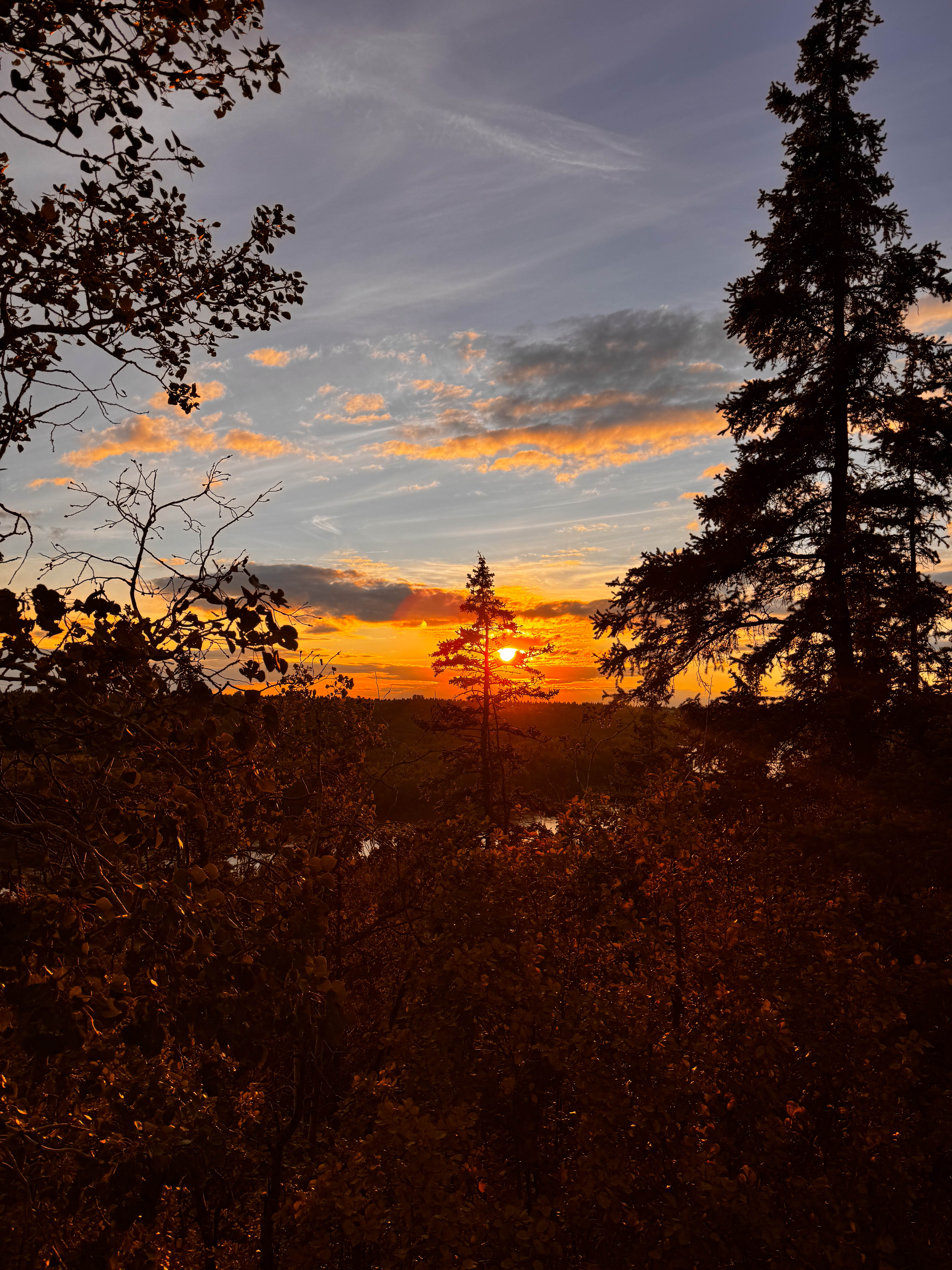 https://0201.nccdn.net/4_2/000/000/00d/f43/edmonton-order-71.jpg