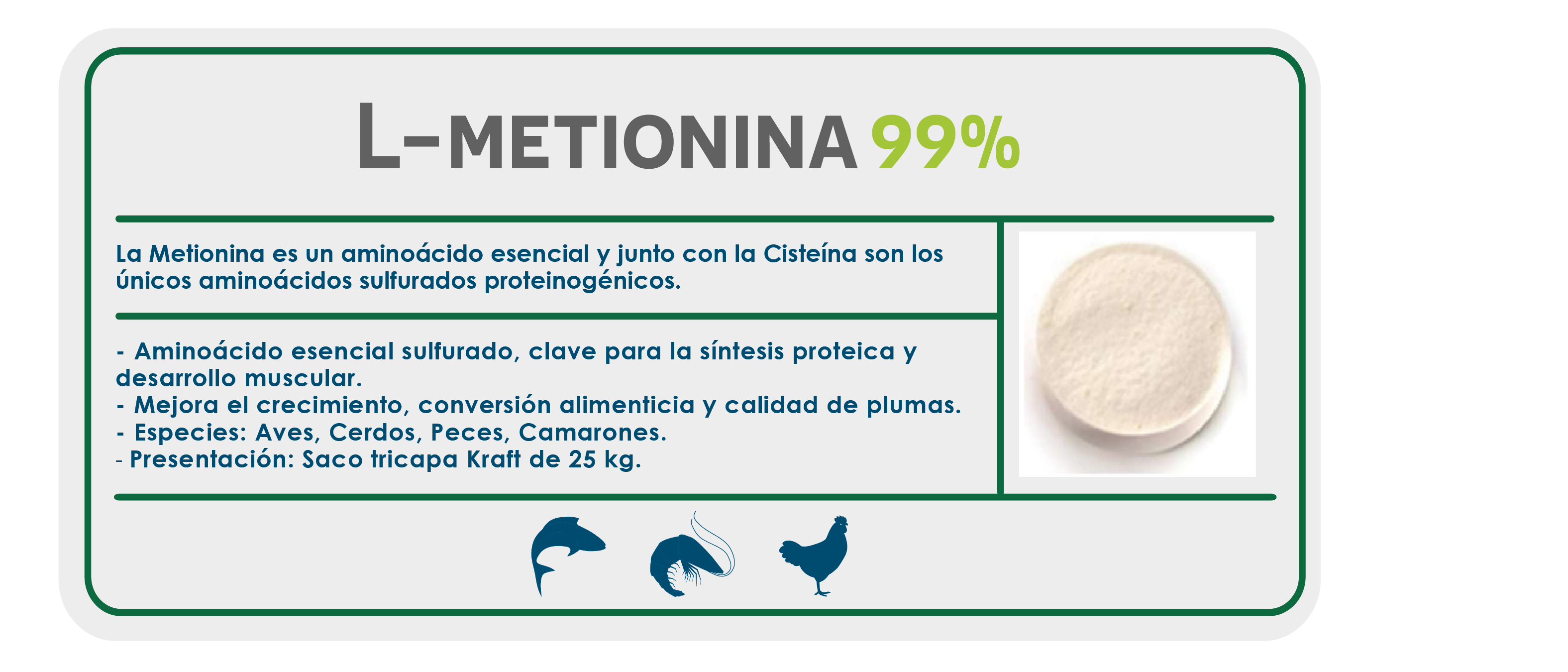 https://0201.nccdn.net/4_2/000/000/00d/f43/ficha_ecommerce-12.png