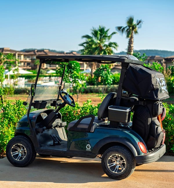 Golf cart
