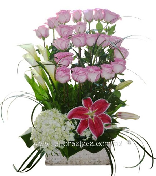 LFA-RS017
Precio $1,280