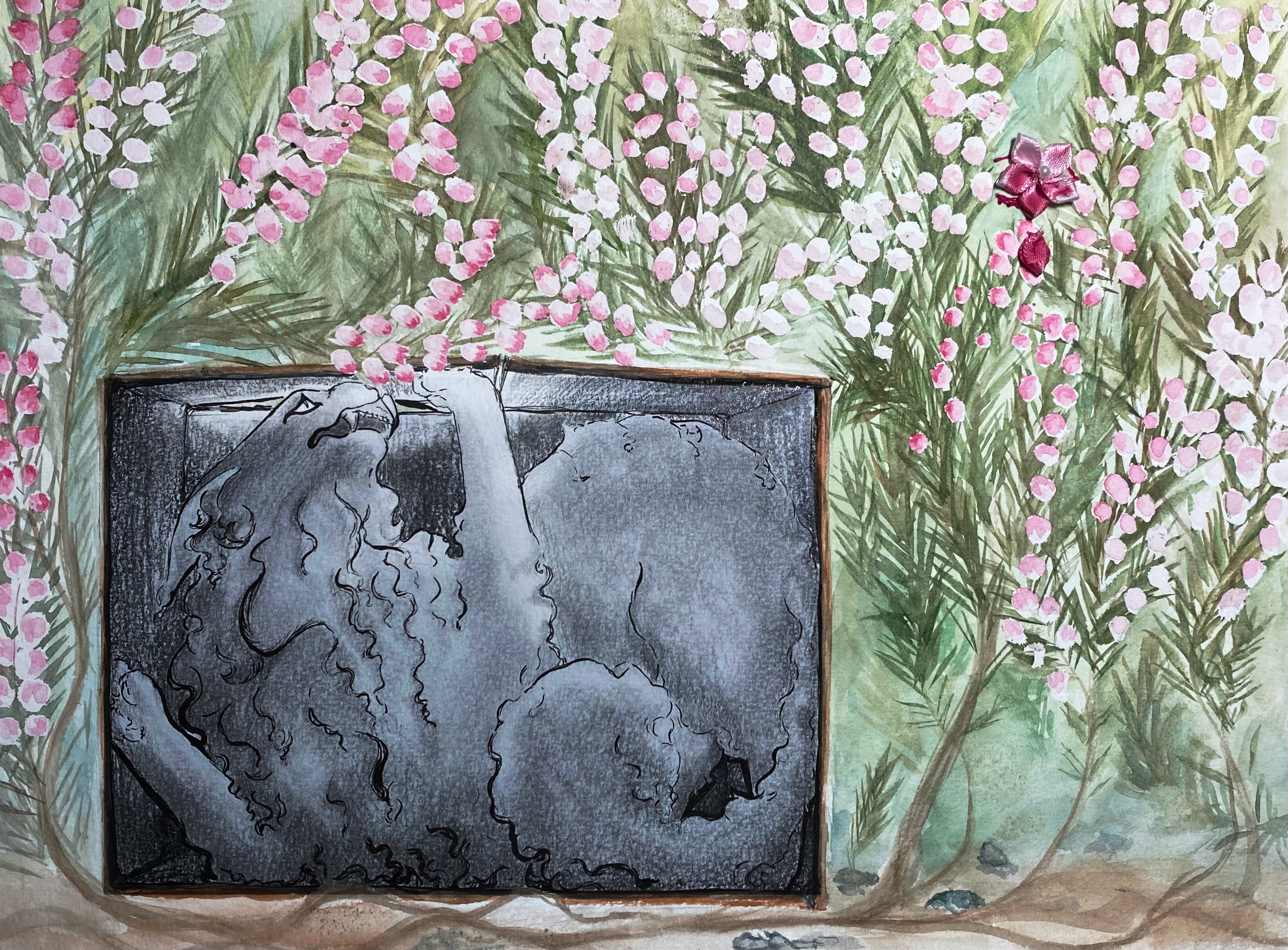 Portfolio Highlights