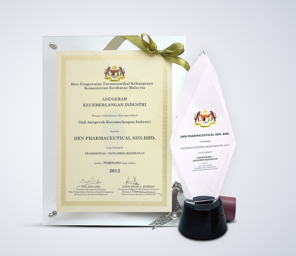 Industry Excellence Award