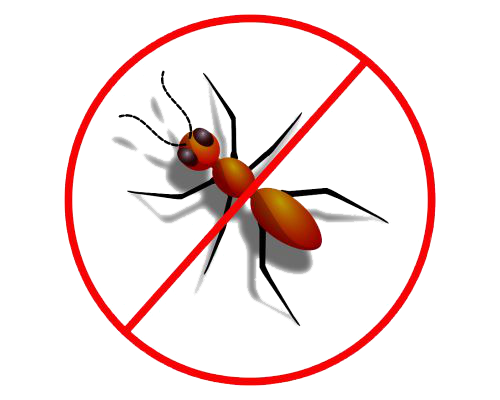 https://0201.nccdn.net/4_2/000/000/00d/f43/insectos01-500x400.png