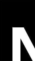 NEVELSON LLC