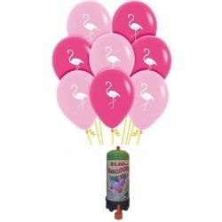 https://0201.nccdn.net/4_2/000/000/00d/f43/pack-globos-flamencos-250x250.jpg