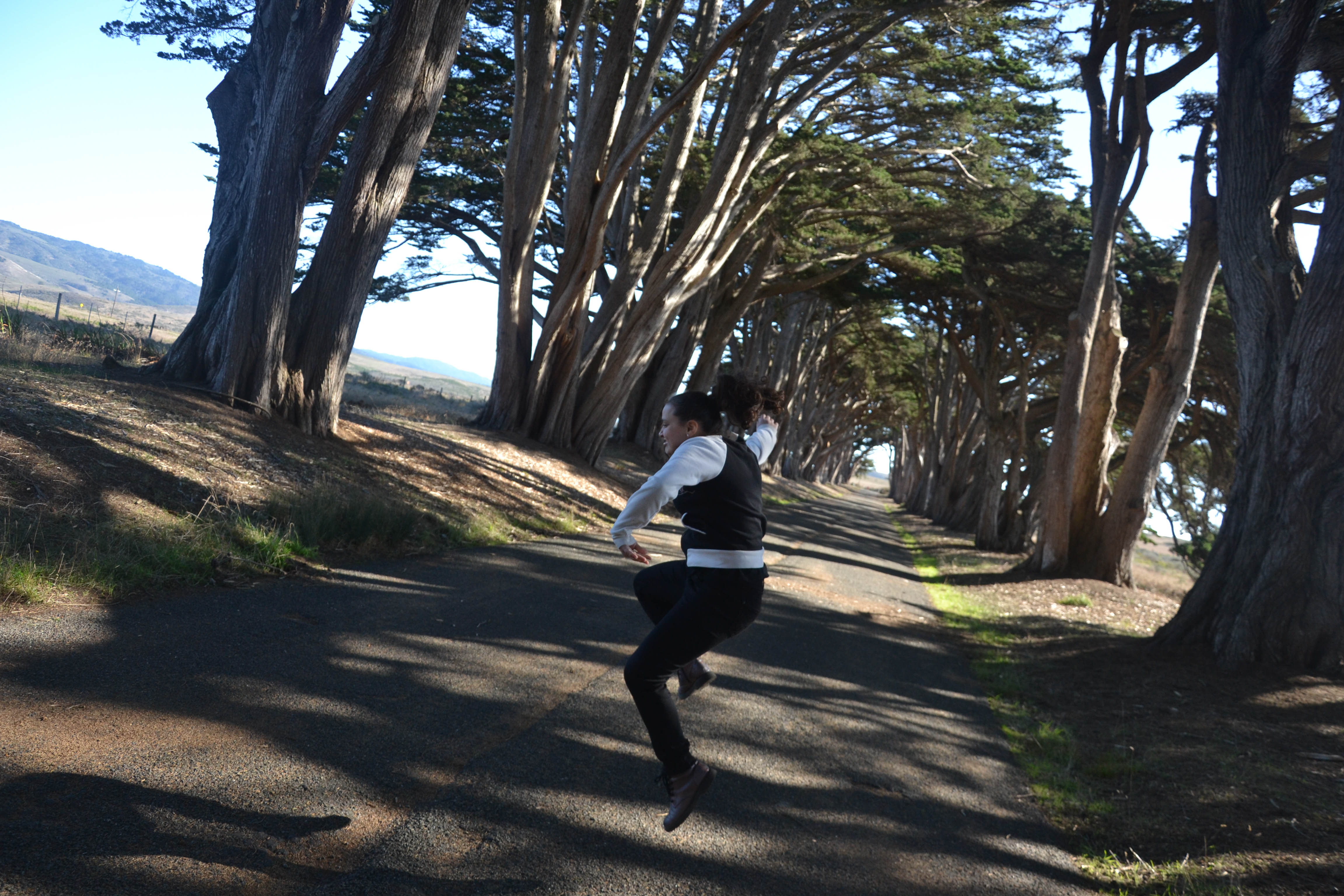 https://0201.nccdn.net/4_2/000/000/00d/f43/san-fran-order-2-101.jpg