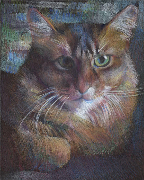 SOFA 2007: Keeping an eye on me (10" x 8" coloured pencil) NFS