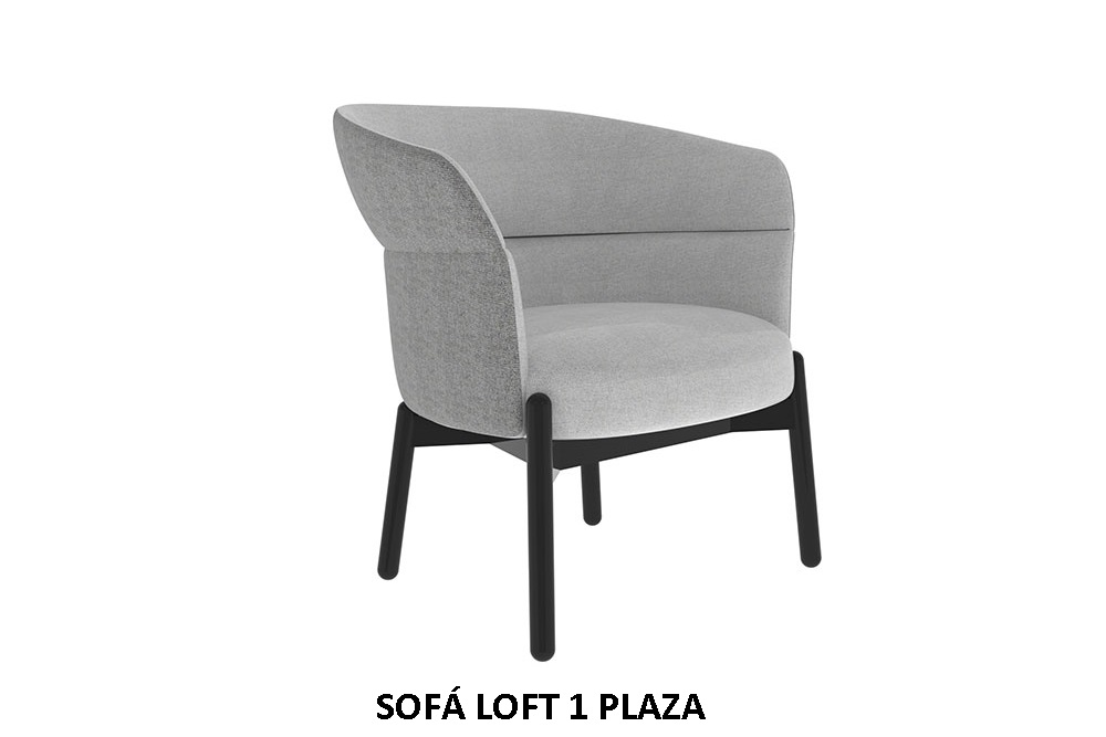 https://0201.nccdn.net/4_2/000/000/00e/0ee/sofa-loft-1-plaza.jpg