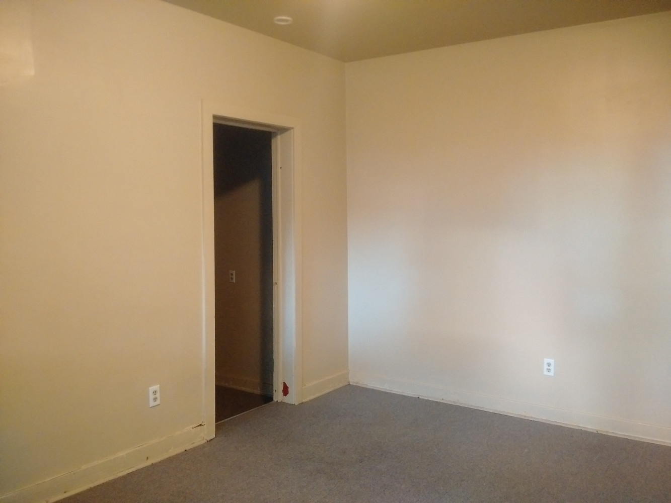 167 Wentworth Living Room