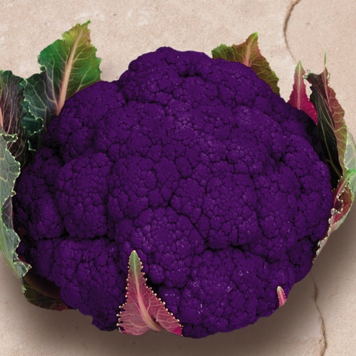 Cauliflower Graffiti Cauliflower Graffiti