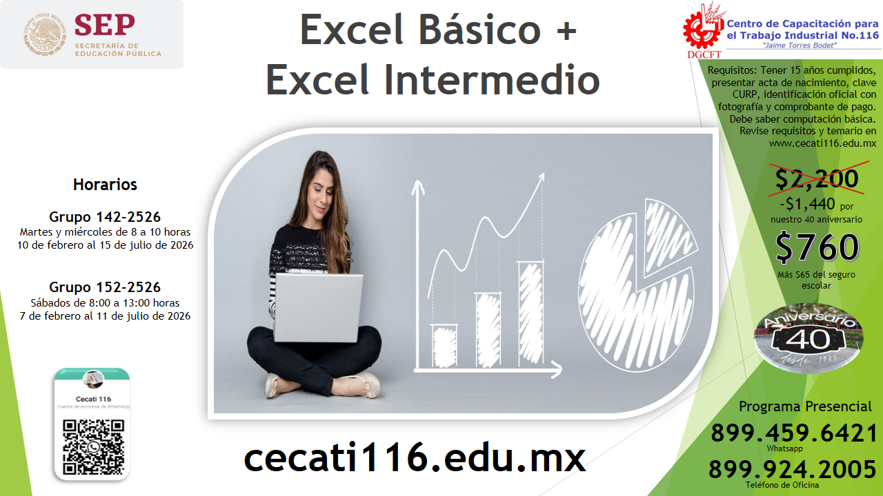 https://0201.nccdn.net/4_2/000/000/00f/745/folleto-inform%C3%A1tica-nivel-4-excel-b%C3%A1sico-intermedio.png