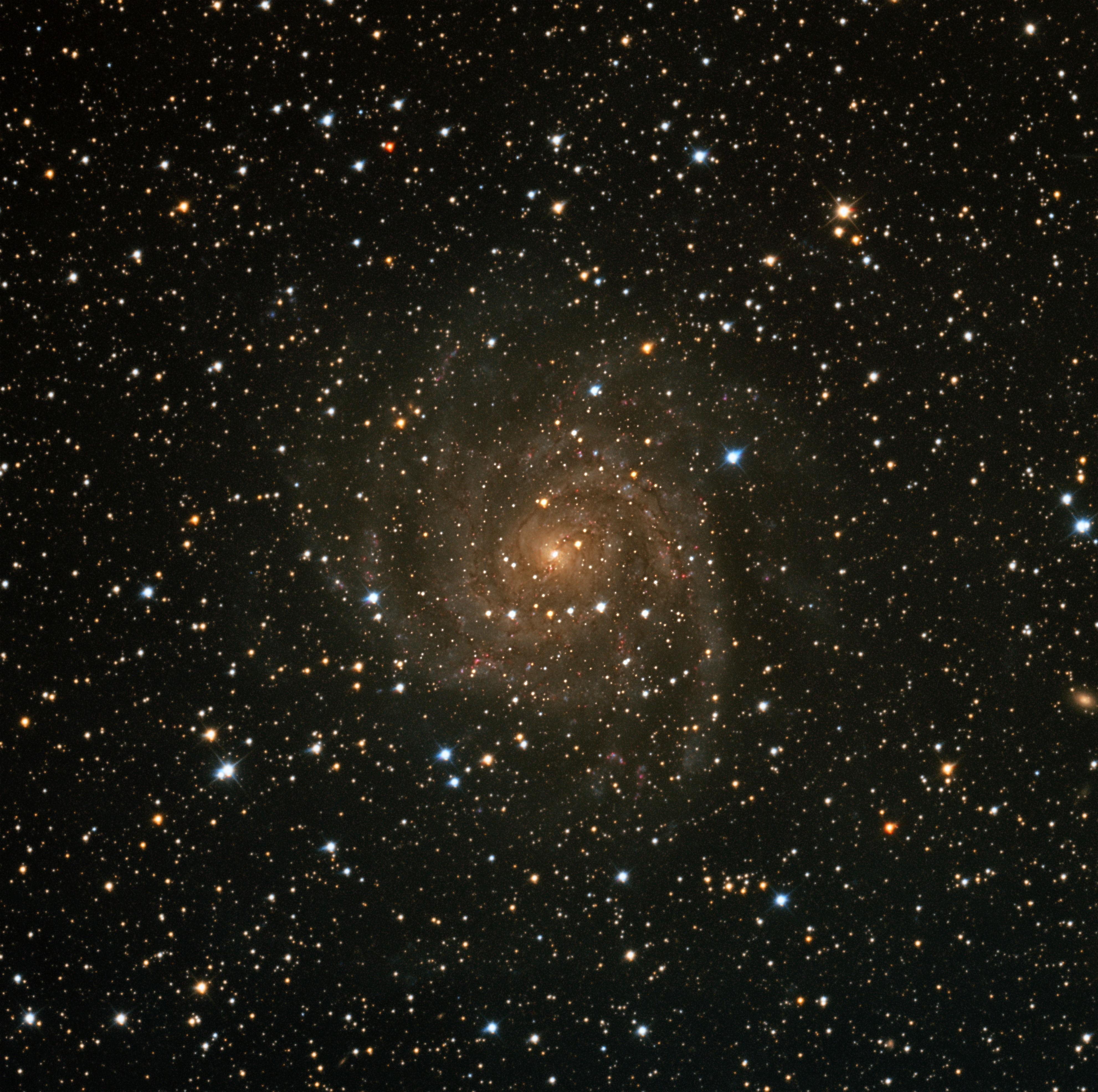 IC 342 "The Hidden Galaxies"