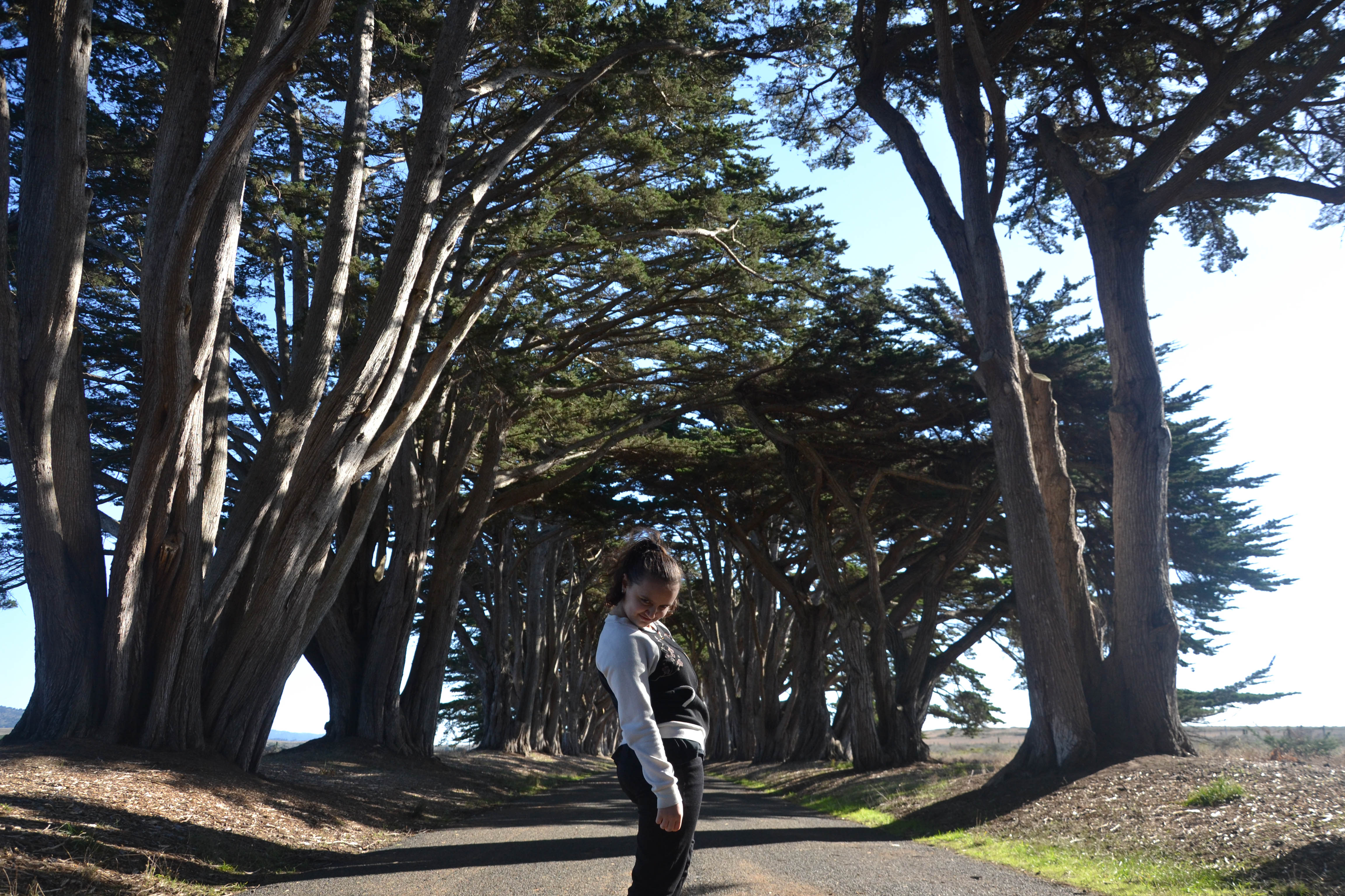 https://0201.nccdn.net/4_2/000/000/00f/745/san-fran-order-2-104.jpg