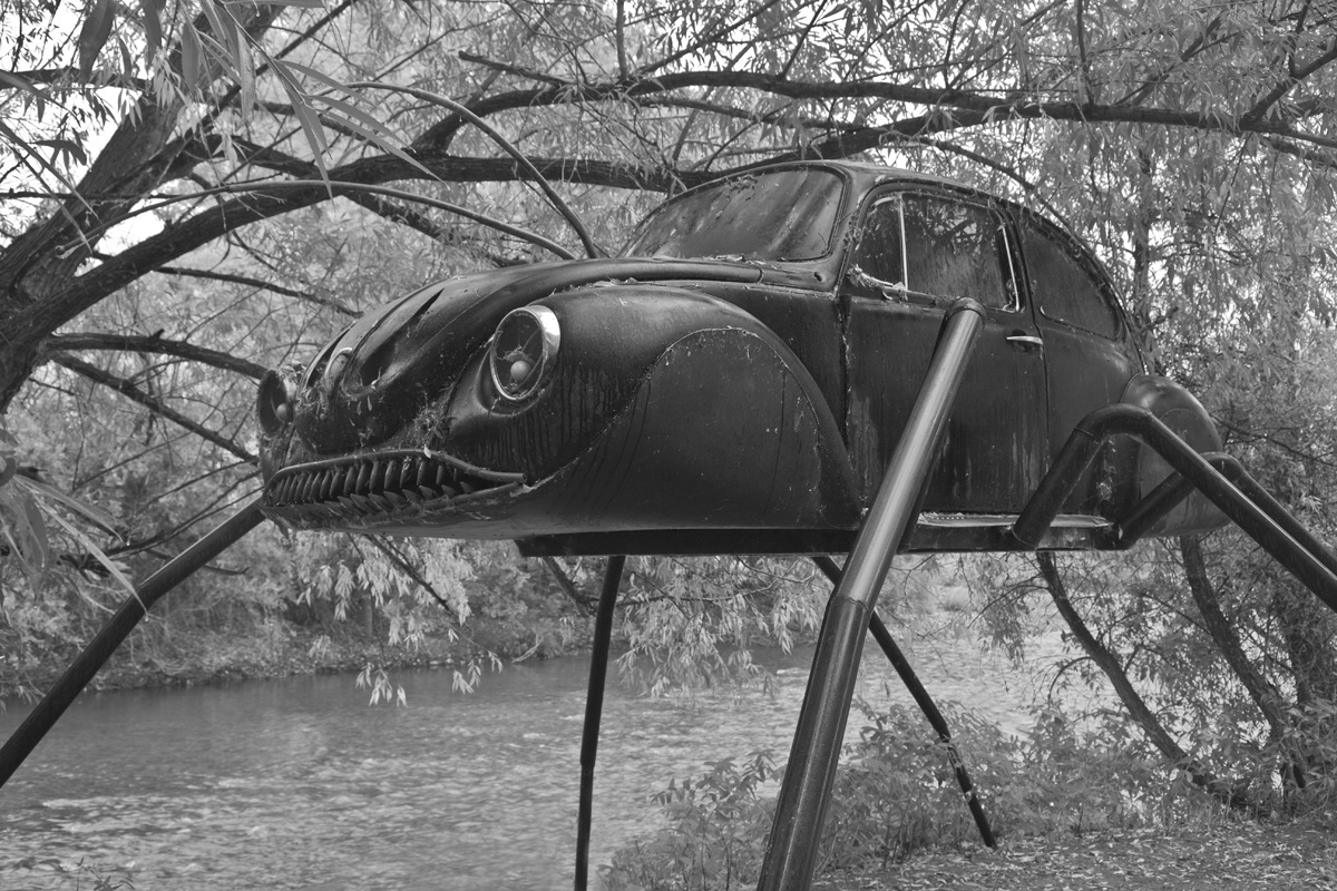 VW BUG