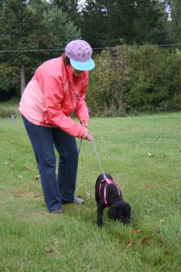 Bailey Starts Tracking