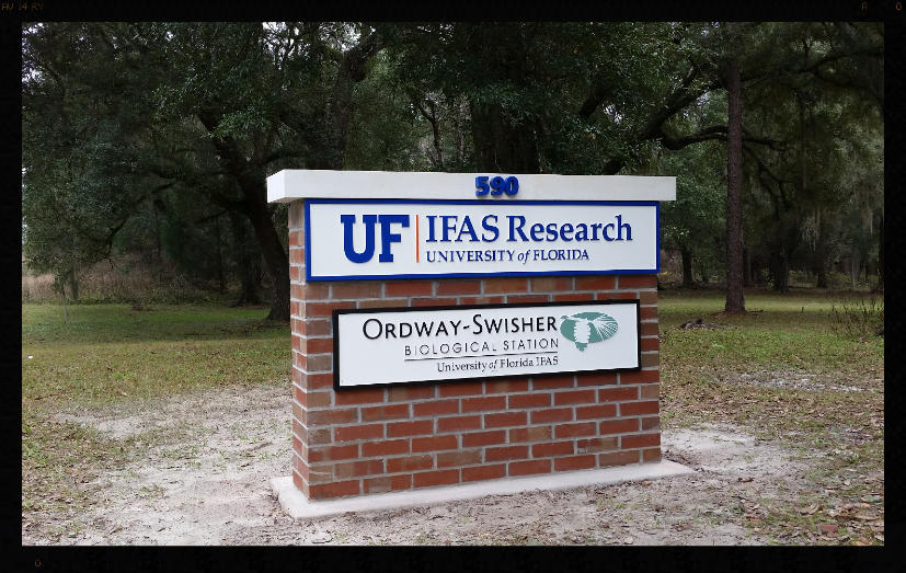 Signs GainesvilleClear Image Signs Graphics Gainesville Monument Signs