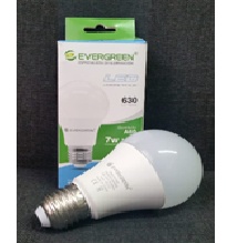 Bombillo A60 (CLASICO) LED
 7W CEO E27 6.400°K
  Evergreen Cod-15273
