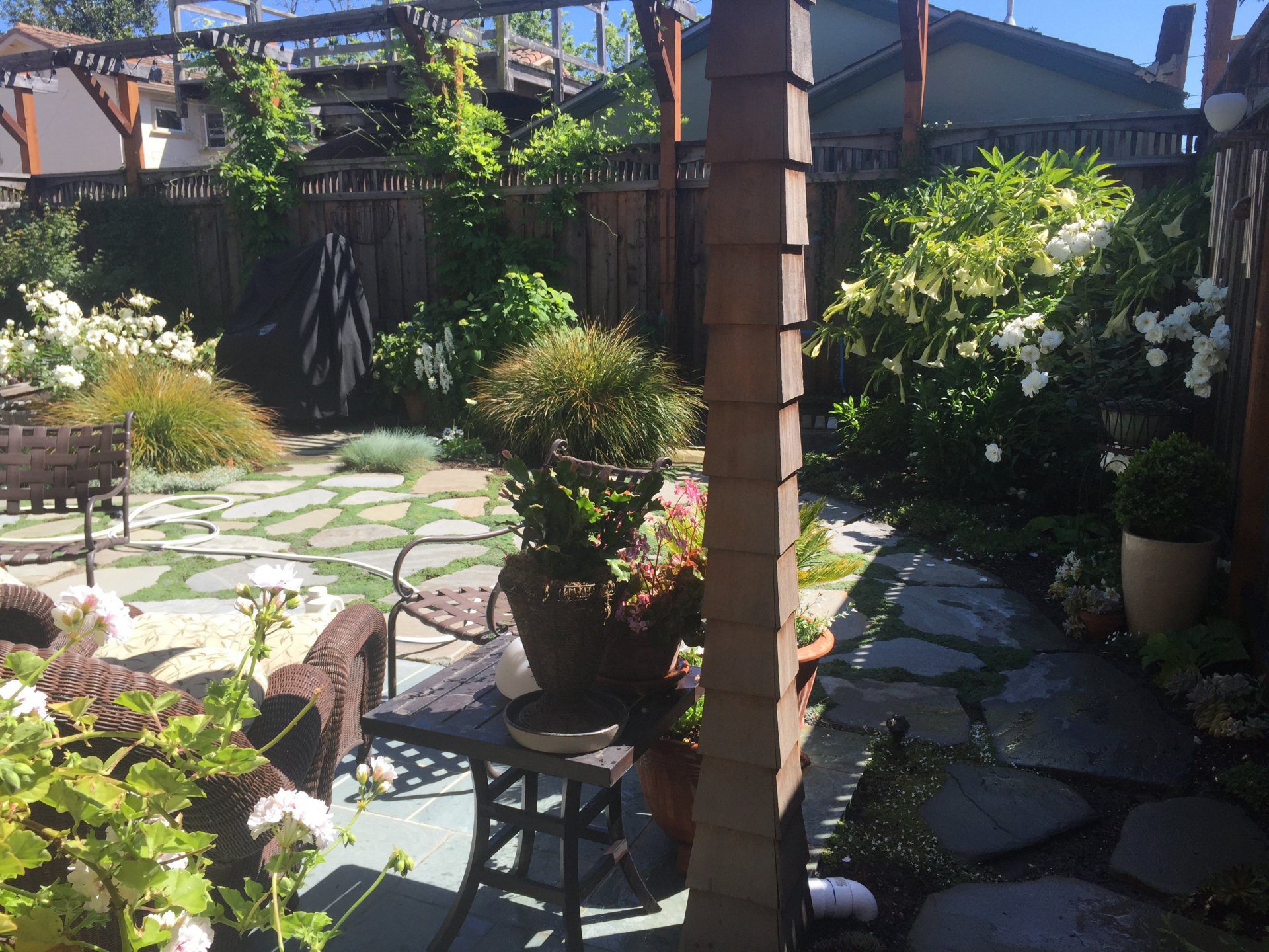 Moon Garden Colored Foliage 3