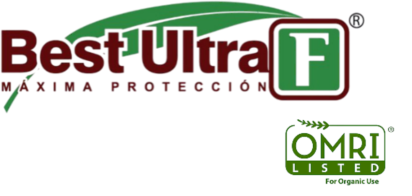 Best Ultra F
