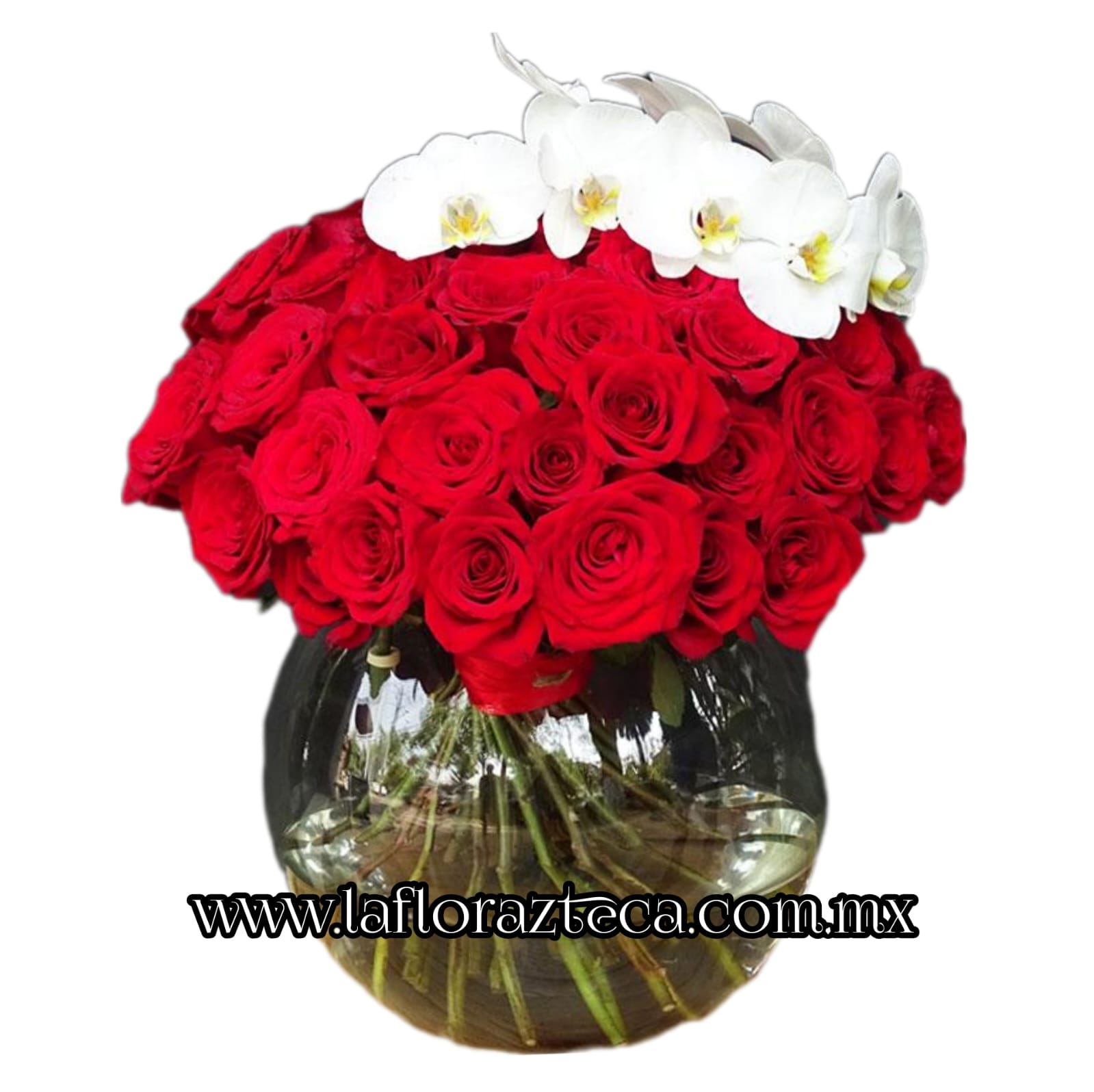 TOP - 8  $3,500
Rosas rojas con Orquídea en base  circular, 100 rosas aprox.