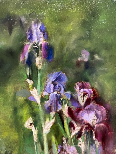 Gomes, Purple Irises, 12" x 9" Oil