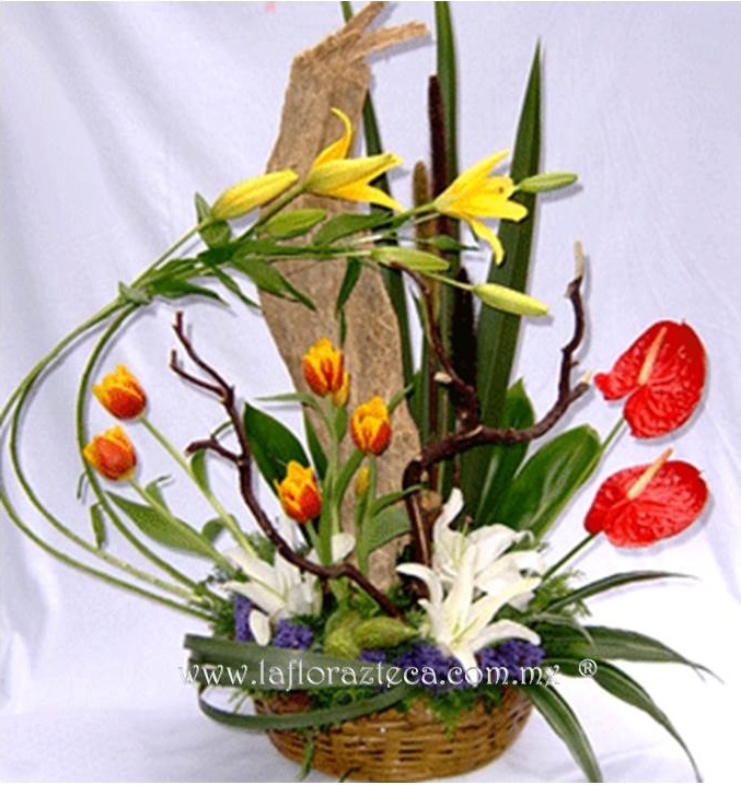 LFA-OT002
Precio $1,320