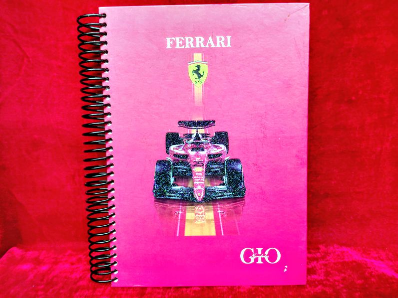 PASTA DURA
PROFESIONAL 
180 HOJAS
$150.00