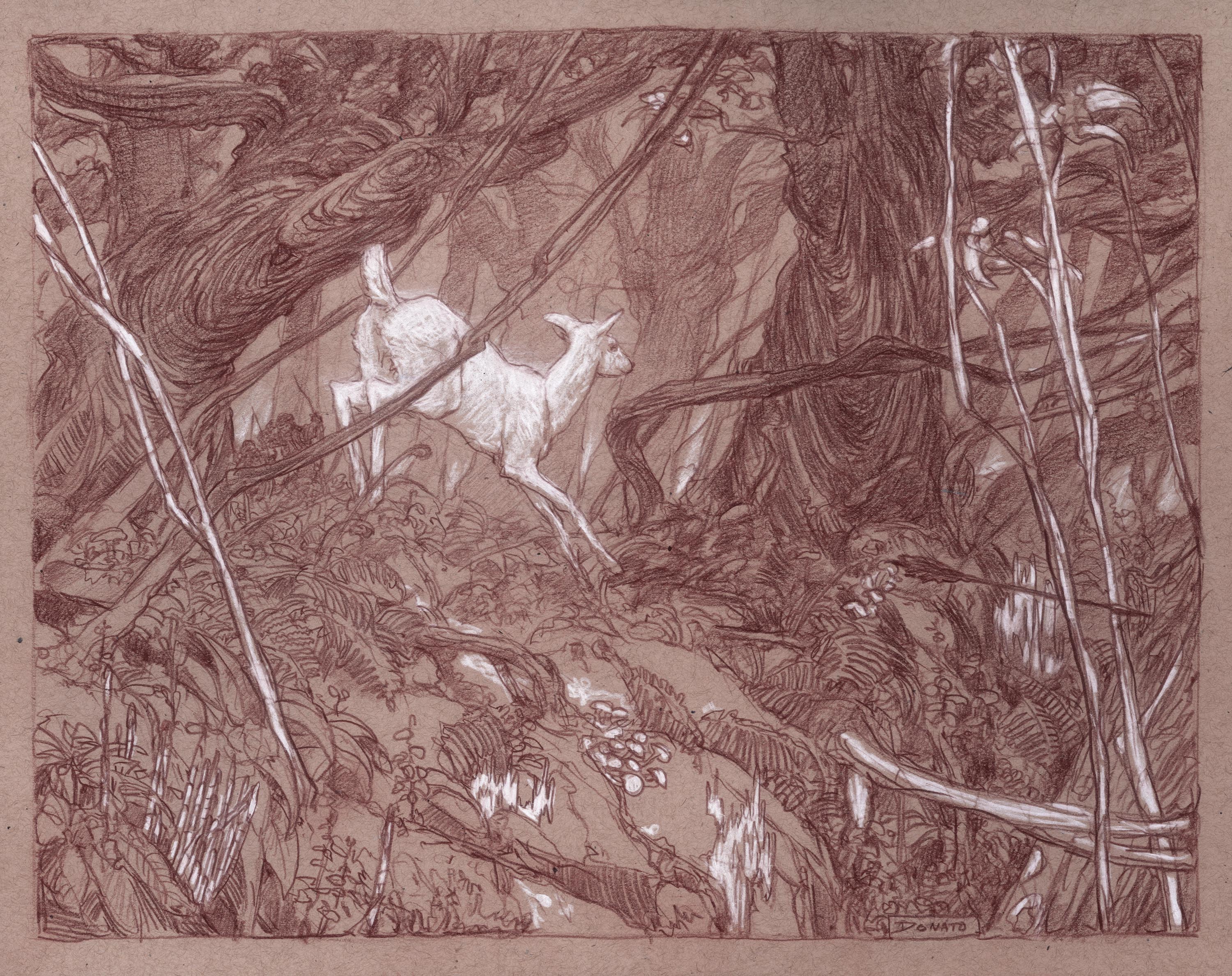 https://0201.nccdn.net/4_2/000/000/017/e75/017-mirkwood-deer.jpg