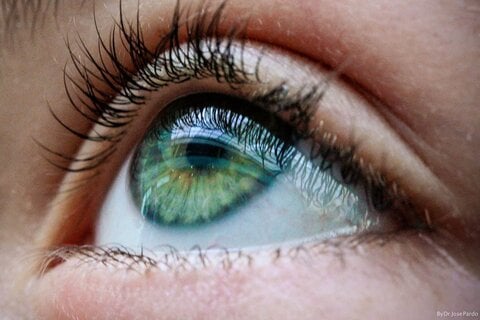 Primer plano de un ojo verde con largas pestañas, reflejo en la pupila.