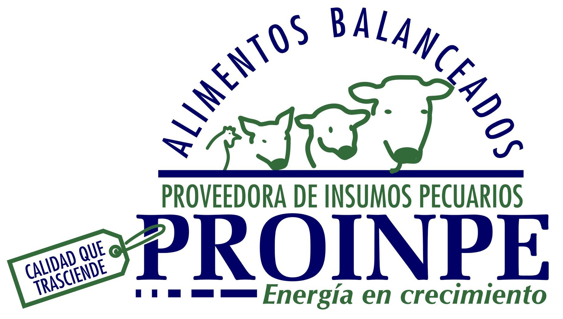 Ir a la página de inicio del sitio PROINPE