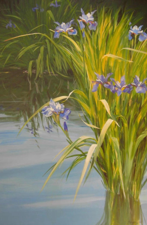 Sunlit Iris 36x24