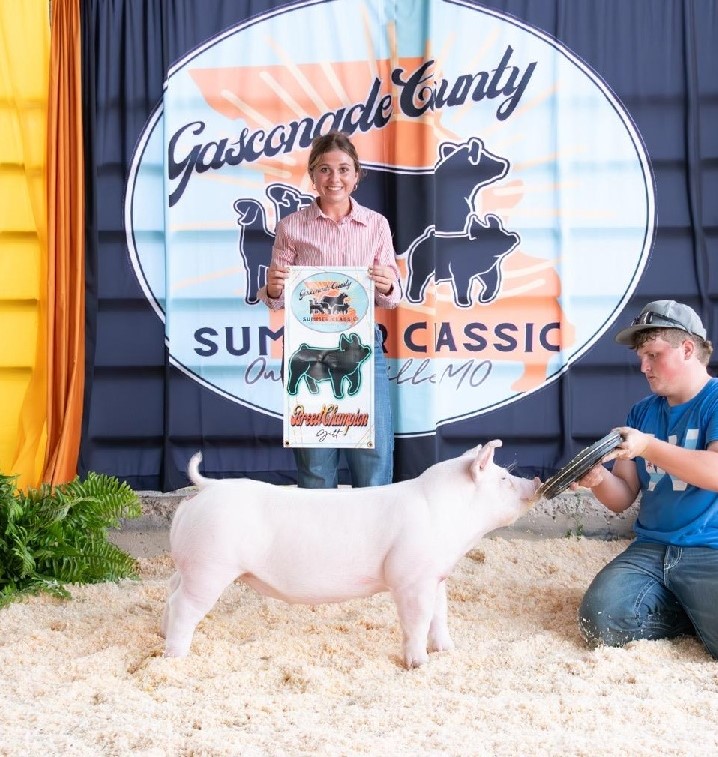 Lena Stricklin
2024 Gasconade County 
Summer Classic
Champion Chester White Gilt
3rd Overall Gilt