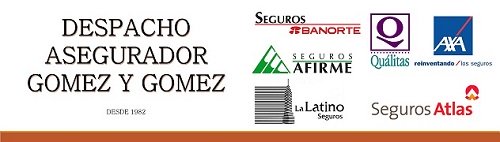 SEGUROS GOMEZ Y GOMEZ