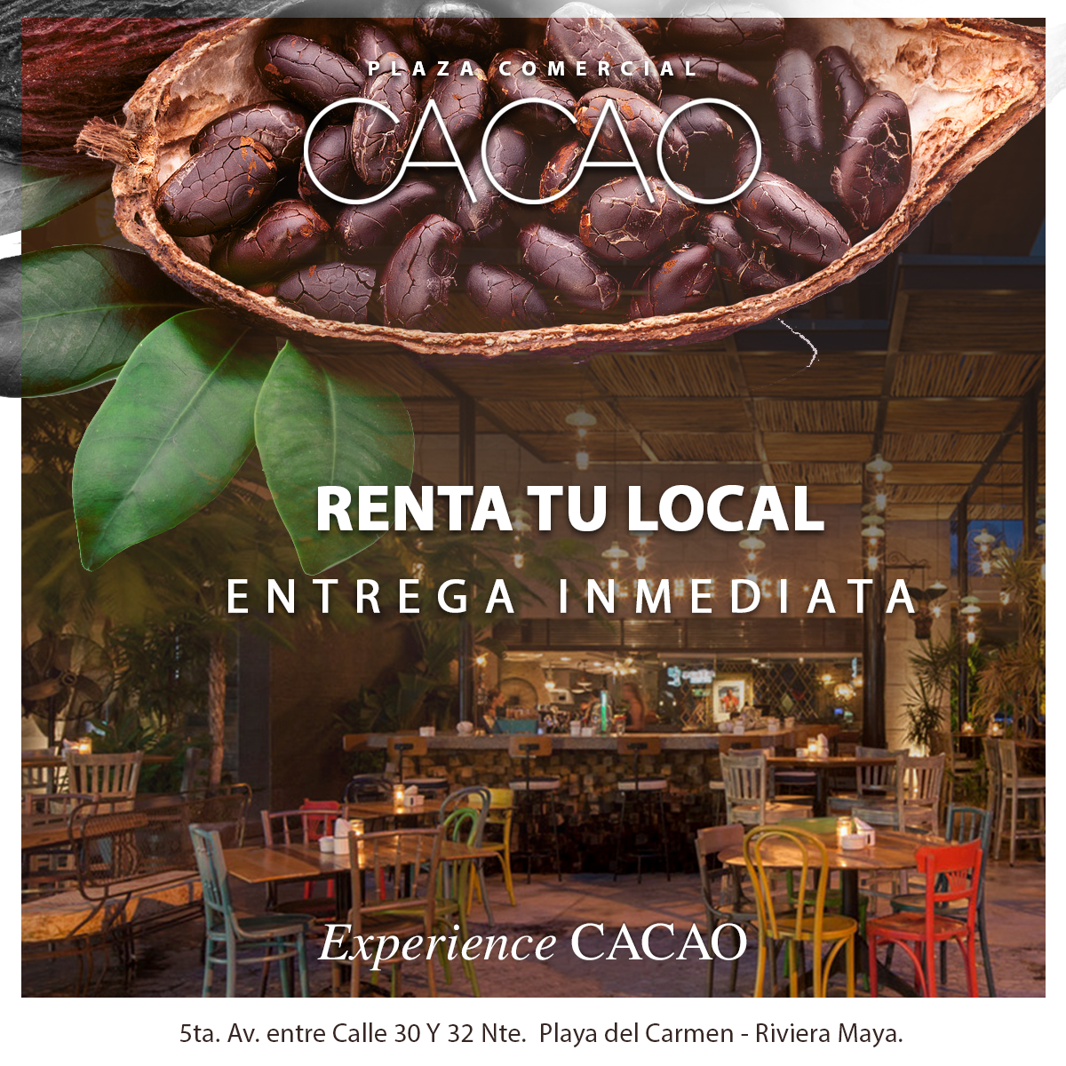 https://0201.nccdn.net/4_2/000/000/017/e75/CACAO-PLAZA.png