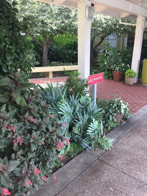 Gayle’s Bakery and Rosticceria 3