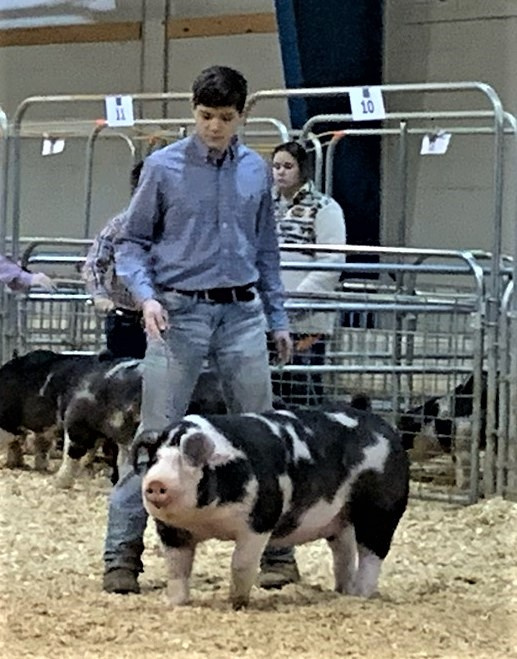 Matt Roach
2020 Tennessee State Swine Show
Reserve Champion Spot Gilt