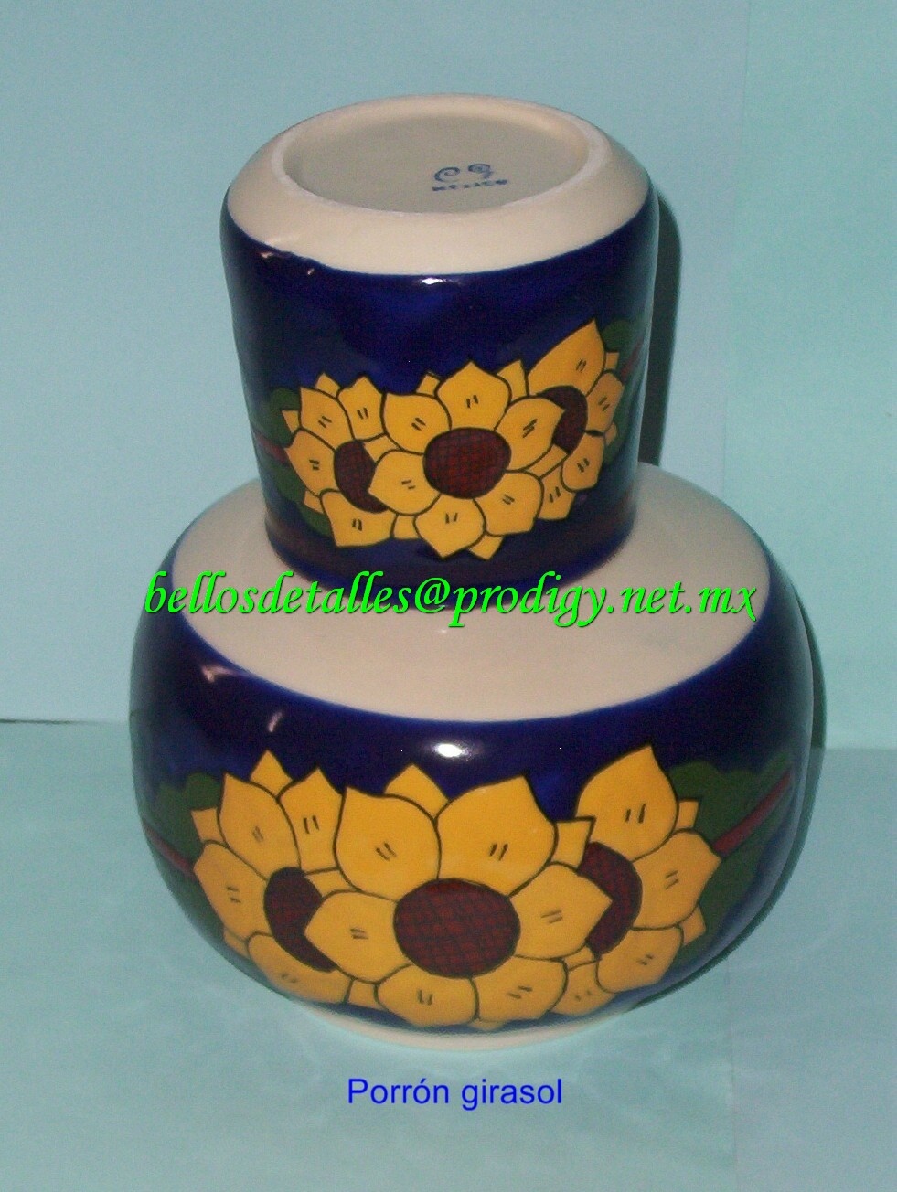 https://0201.nccdn.net/4_2/000/000/017/e75/Porr--n-girasol-981x1304.jpg
