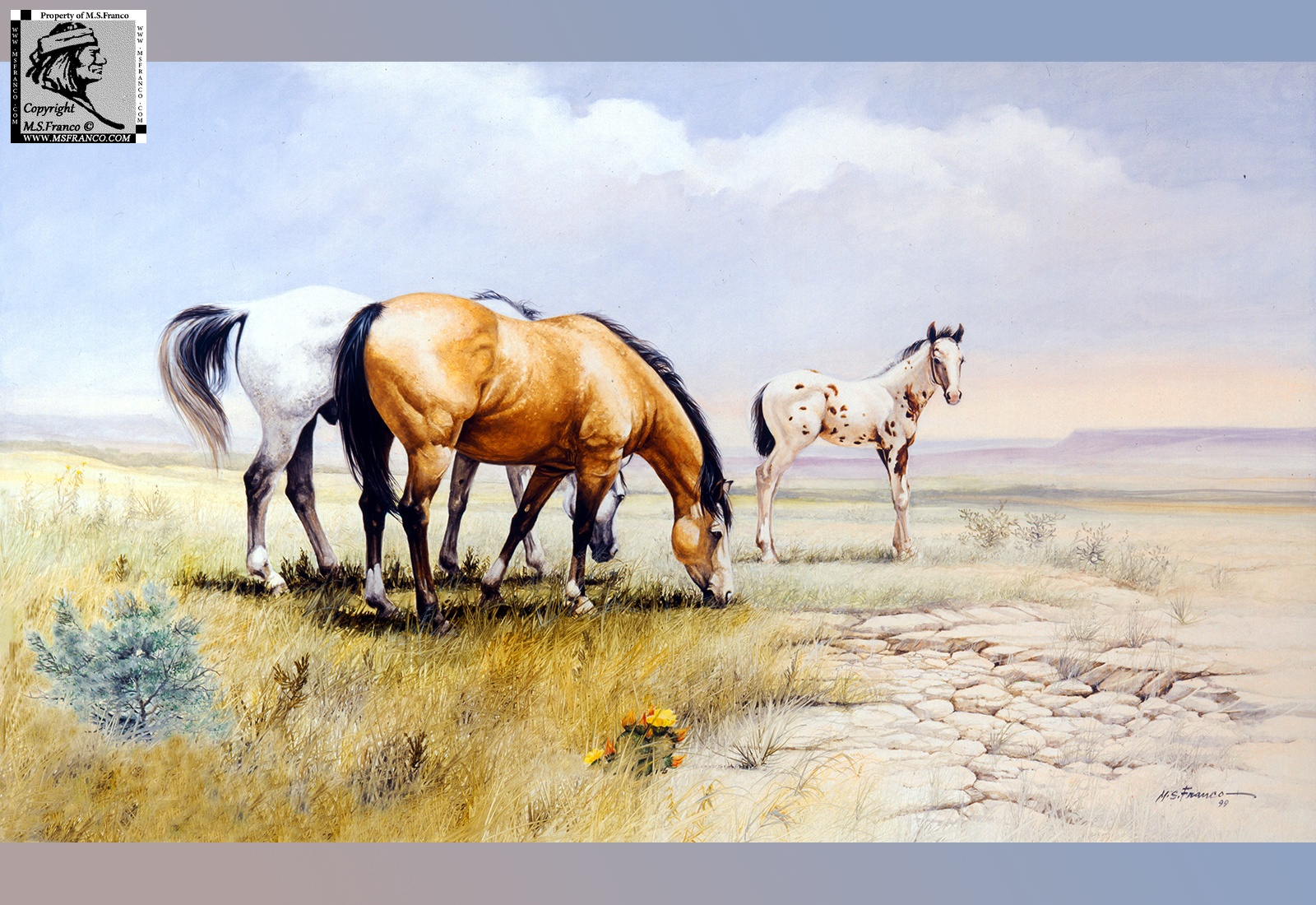 " Quien Sabe Ranch "