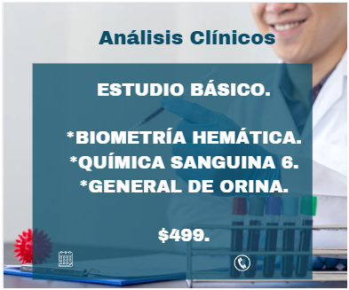 Equipo médico analizando imágenes de ultrasonido en una oficina moderna.