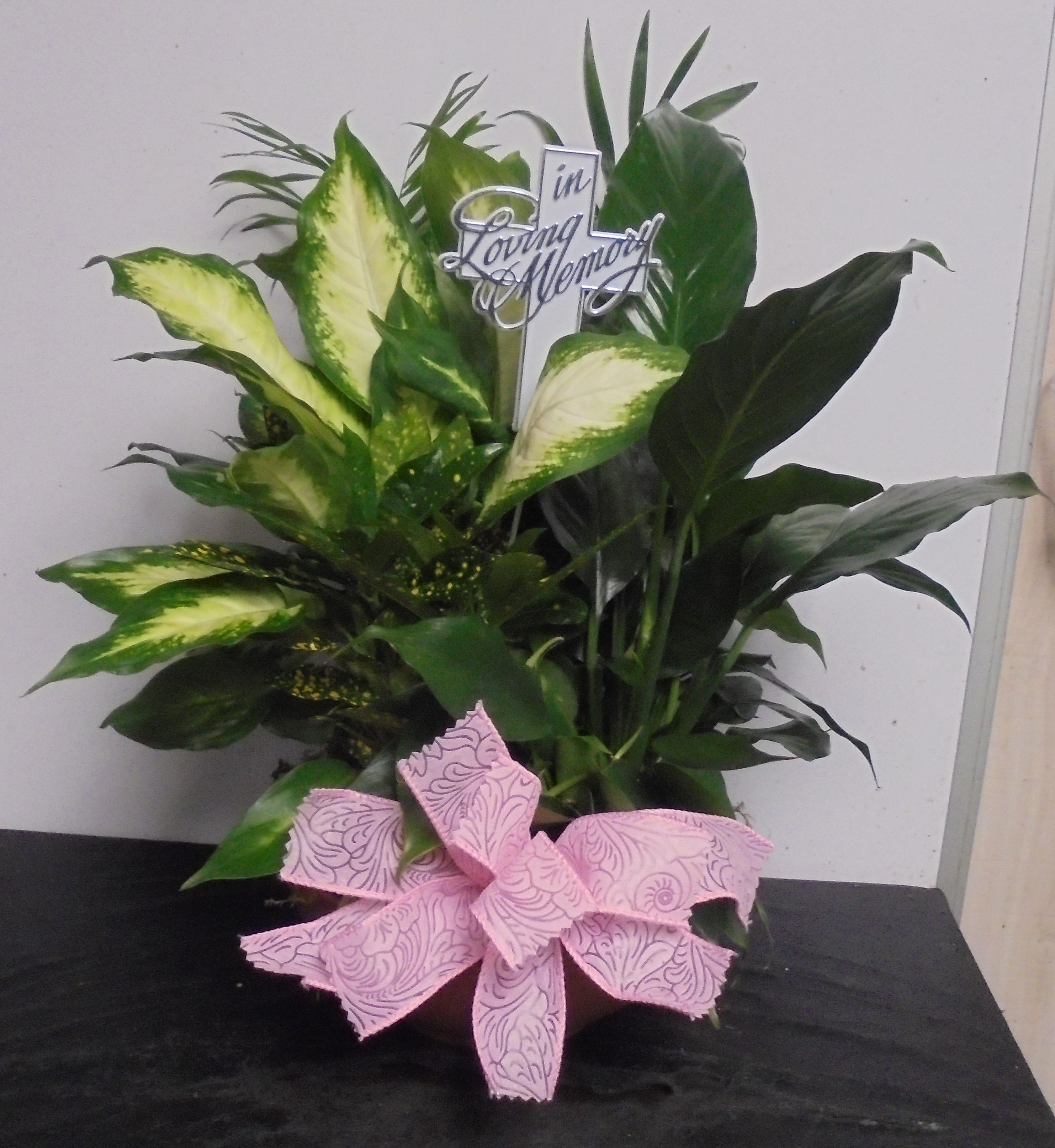 (8) Dish-Garden Plant 
$60.00