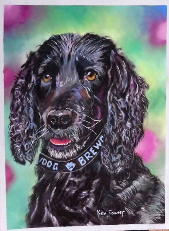 Ebony - Spaniel