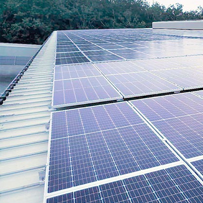 Paneles solares instalados en el techo de una nave industrial para energía renovable