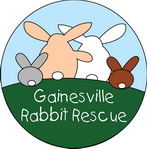 Gainesville Rabbit Rescue