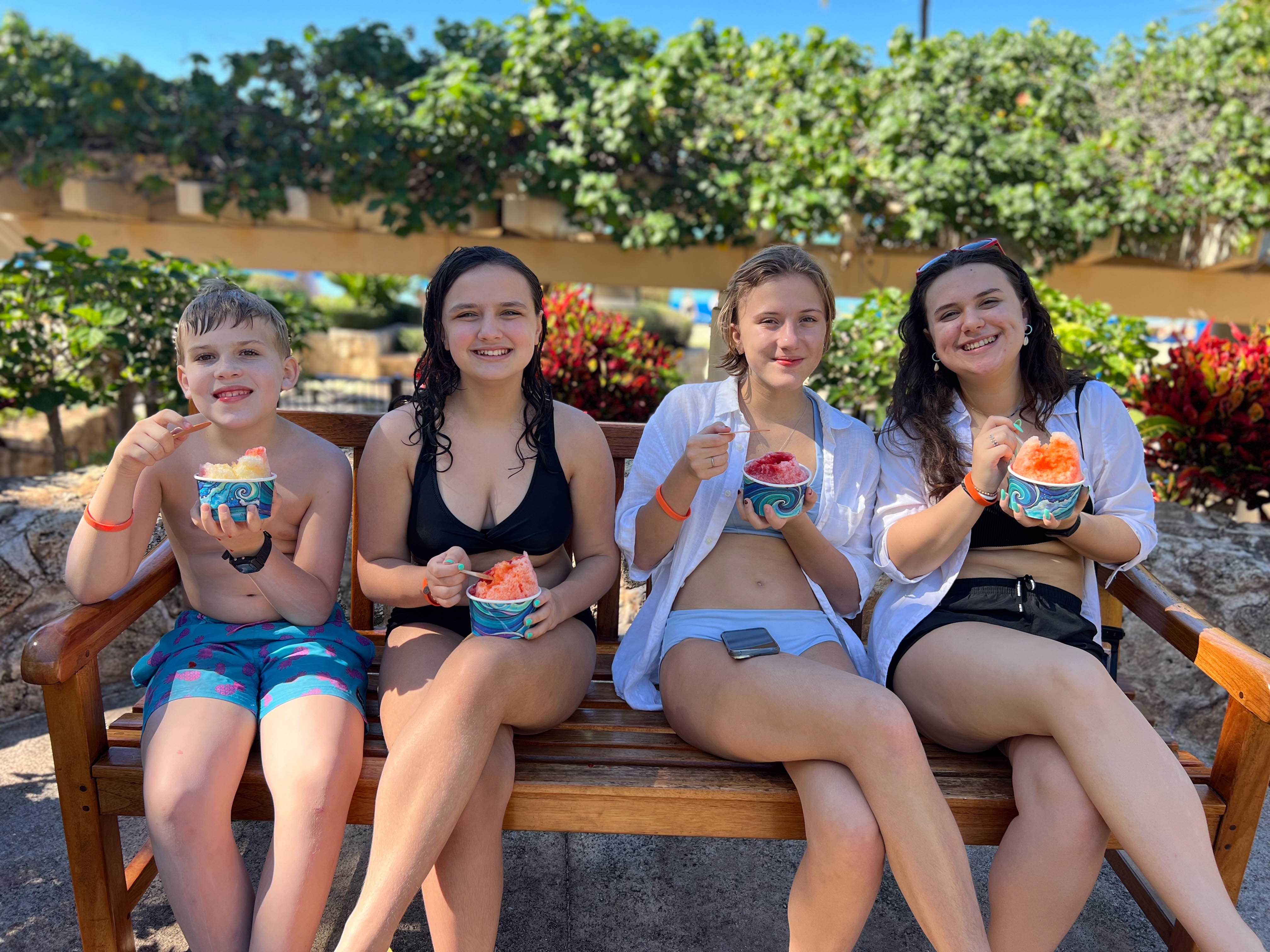 https://0201.nccdn.net/4_2/000/000/017/e75/hawaii-order-17.jpg