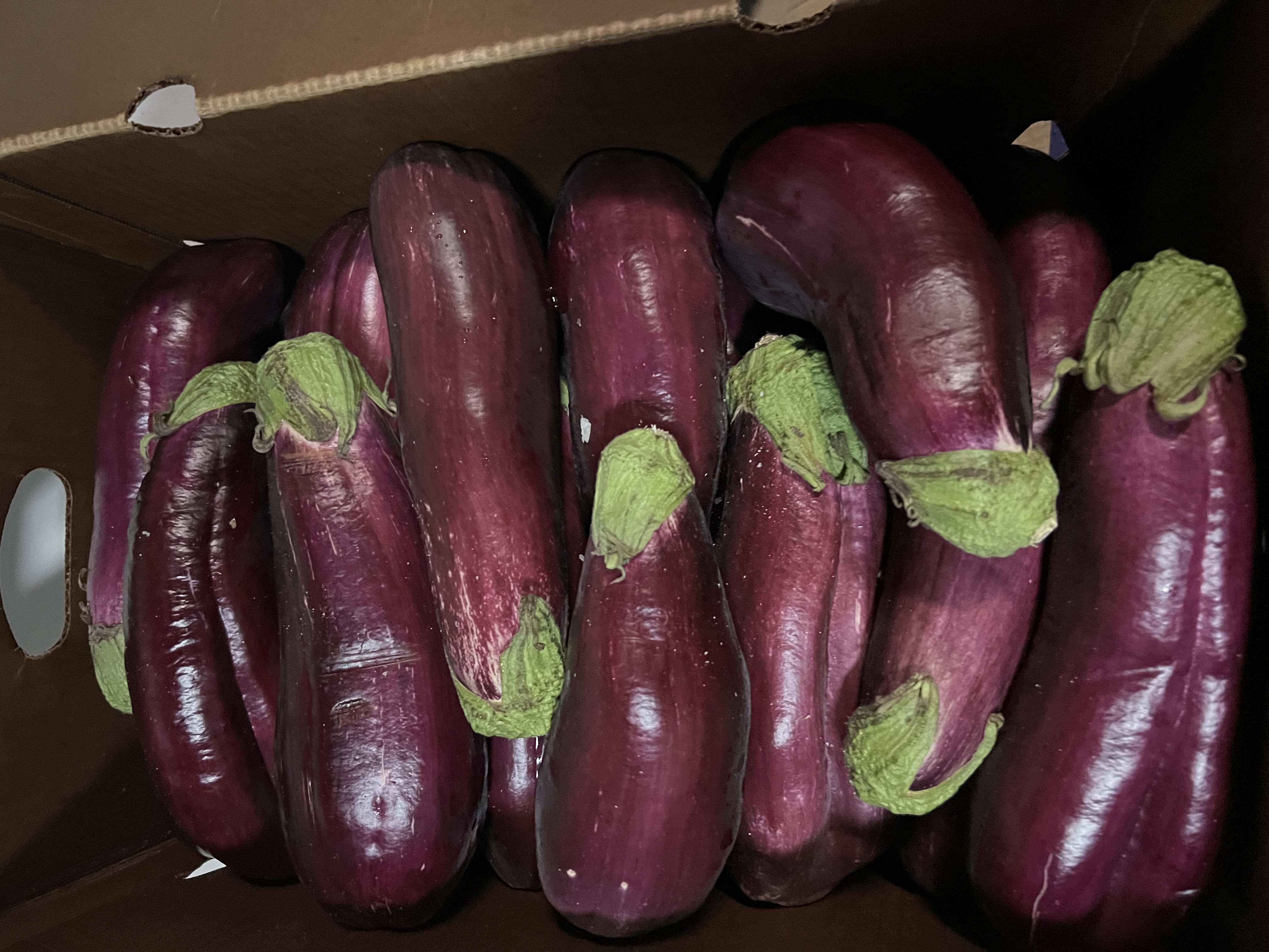 https://0201.nccdn.net/4_2/000/000/017/e75/img_0725_eggplant_guyana.jpg