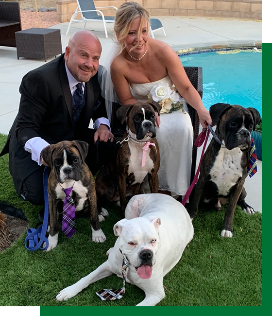 Newlyweds With Dogs