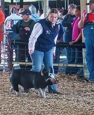 Leah Cartwright
2024 Big Orange Fall Classic
Reserve Champion TN Bred
Berkshire Barrow